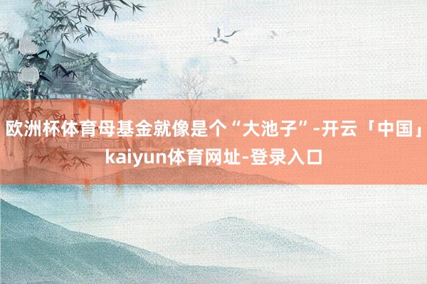 欧洲杯体育母基金就像是个“大池子”-开云「中国」kaiyun体育网址-登录入口