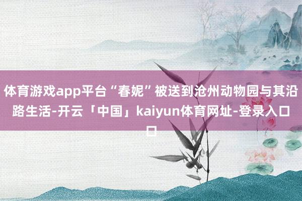体育游戏app平台“春妮”被送到沧州动物园与其沿路生活-开云「中国」kaiyun体育网址-登录入口