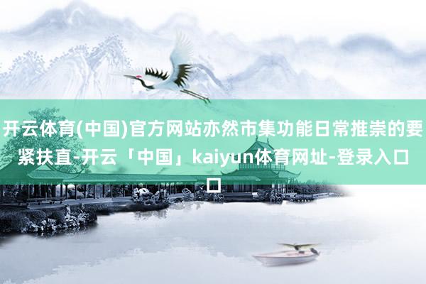 开云体育(中国)官方网站亦然市集功能日常推崇的要紧扶直-开云「中国」kaiyun体育网址-登录入口