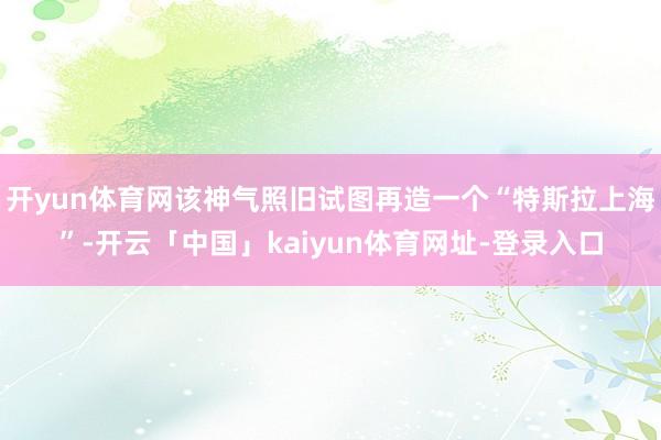 开yun体育网该神气照旧试图再造一个“特斯拉上海”-开云「中国」kaiyun体育网址-登录入口