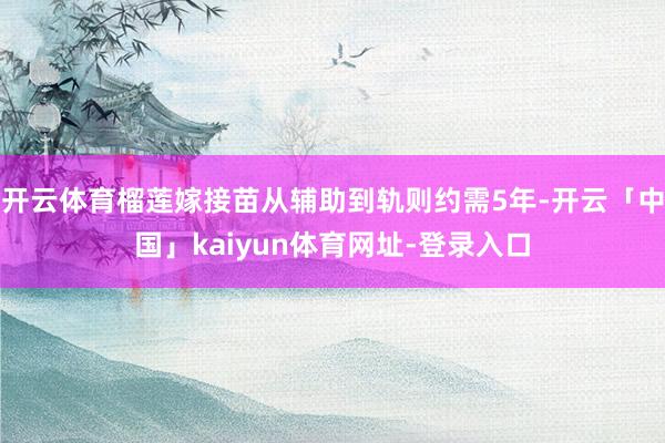开云体育榴莲嫁接苗从辅助到轨则约需5年-开云「中国」kaiyun体育网址-登录入口