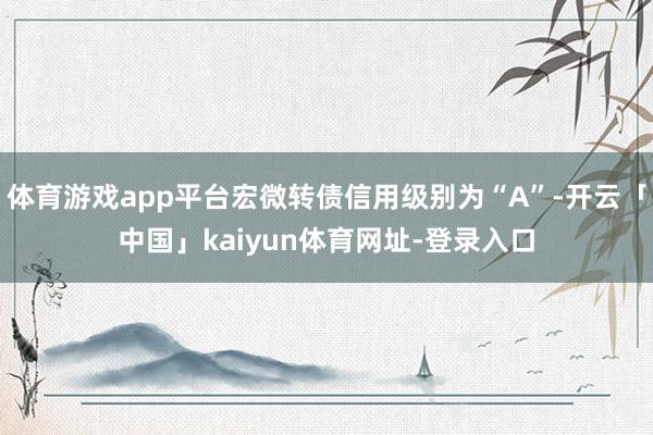 体育游戏app平台宏微转债信用级别为“A”-开云「中国」kaiyun体育网址-登录入口