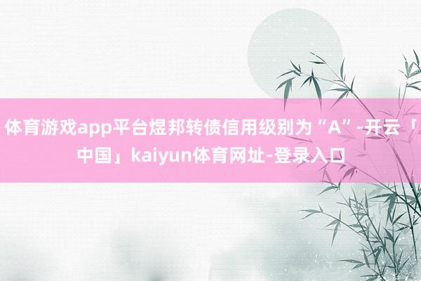 体育游戏app平台煜邦转债信用级别为“A”-开云「中国」kaiyun体育网址-登录入口