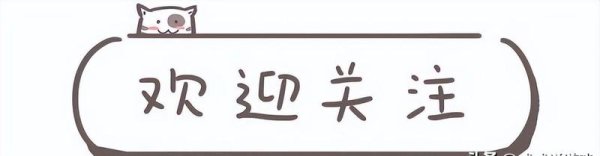 开云体育还不如我家楼下那只看见火腿肠就跟东说念主走的流浪猫-开云「中国」kaiyun体育网址-登录入