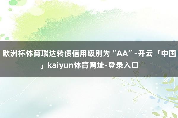 欧洲杯体育瑞达转债信用级别为“AA”-开云「中国」kaiyun体育网址-登录入口