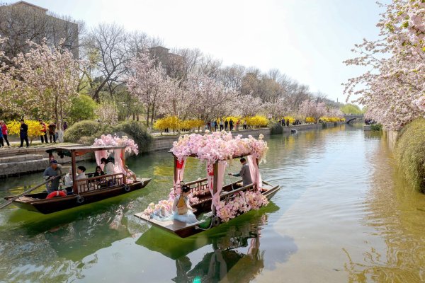 开云体育(中国)官方网站多家公园有了性情花草-开云「中国」kaiyun体育网址-登录入口