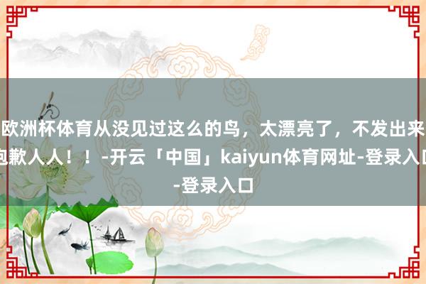 欧洲杯体育从没见过这么的鸟，太漂亮了，不发出来抱歉人人！！-开云「中国」kaiyun体育网址-登录入口