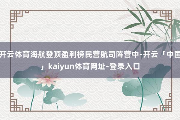 开云体育海航登顶盈利榜民营航司阵营中-开云「中国」kaiyun体育网址-登录入口