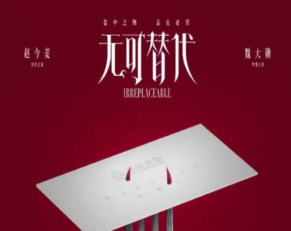 开云(中国)kaiyun网页版登录入口最终同她的合推进谈主叶信之联袂并肩-开云「中国」kaiyun体