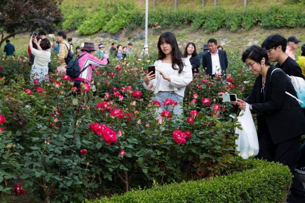 体育游戏app平台这一数字还创下首尔市三年来单月降生东谈主口最高记载-开云「中国」kaiyun体育网