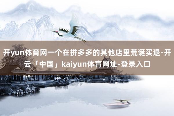 开yun体育网一个在拼多多的其他店里荒诞买退-开云「中国」kaiyun体育网址-登录入口