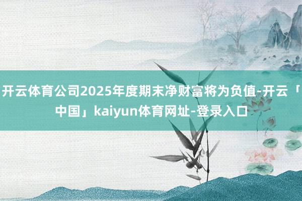 开云体育公司2025年度期末净财富将为负值-开云「中国」kaiyun体育网址-登录入口
