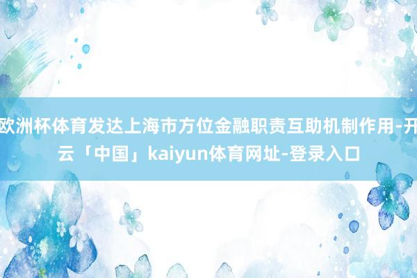 欧洲杯体育发达上海市方位金融职责互助机制作用-开云「中国」kaiyun体育网址-登录入口