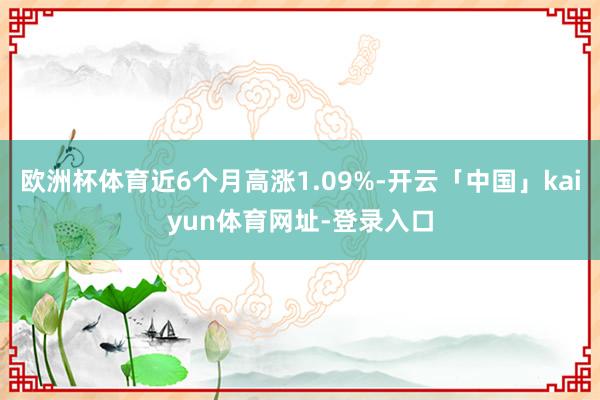 欧洲杯体育近6个月高涨1.09%-开云「中国」kaiyun体育网址-登录入口