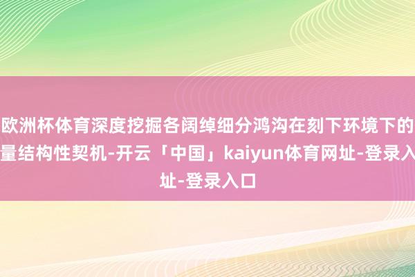 欧洲杯体育深度挖掘各阔绰细分鸿沟在刻下环境下的增量结构性契机-开云「中国」kaiyun体育网址-登录入口