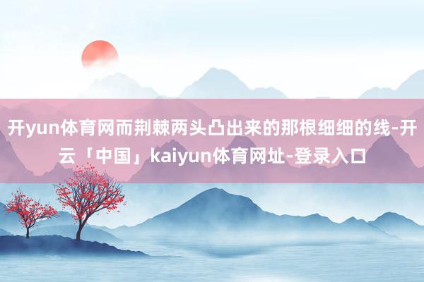 开yun体育网而荆棘两头凸出来的那根细细的线-开云「中国」kaiyun体育网址-登录入口