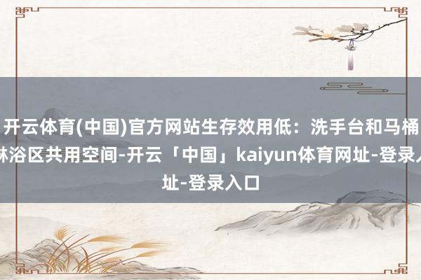 开云体育(中国)官方网站生存效用低：洗手台和马桶、淋浴区共用空间-开云「中国」kaiyun体育网址-登录入口