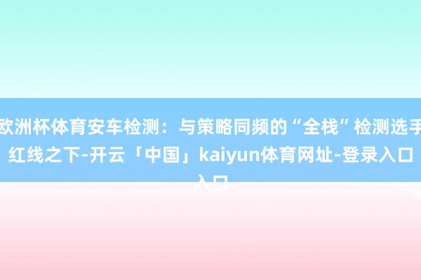 欧洲杯体育安车检测：与策略同频的“全栈”检测选手红线之下-开云「中国」kaiyun体育网址-登录入口