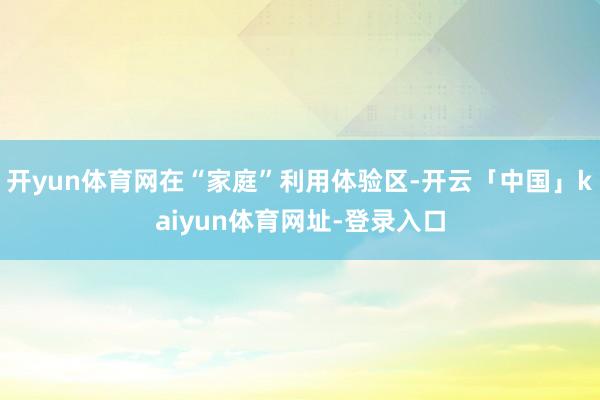 开yun体育网在“家庭”利用体验区-开云「中国」kaiyun体育网址-登录入口